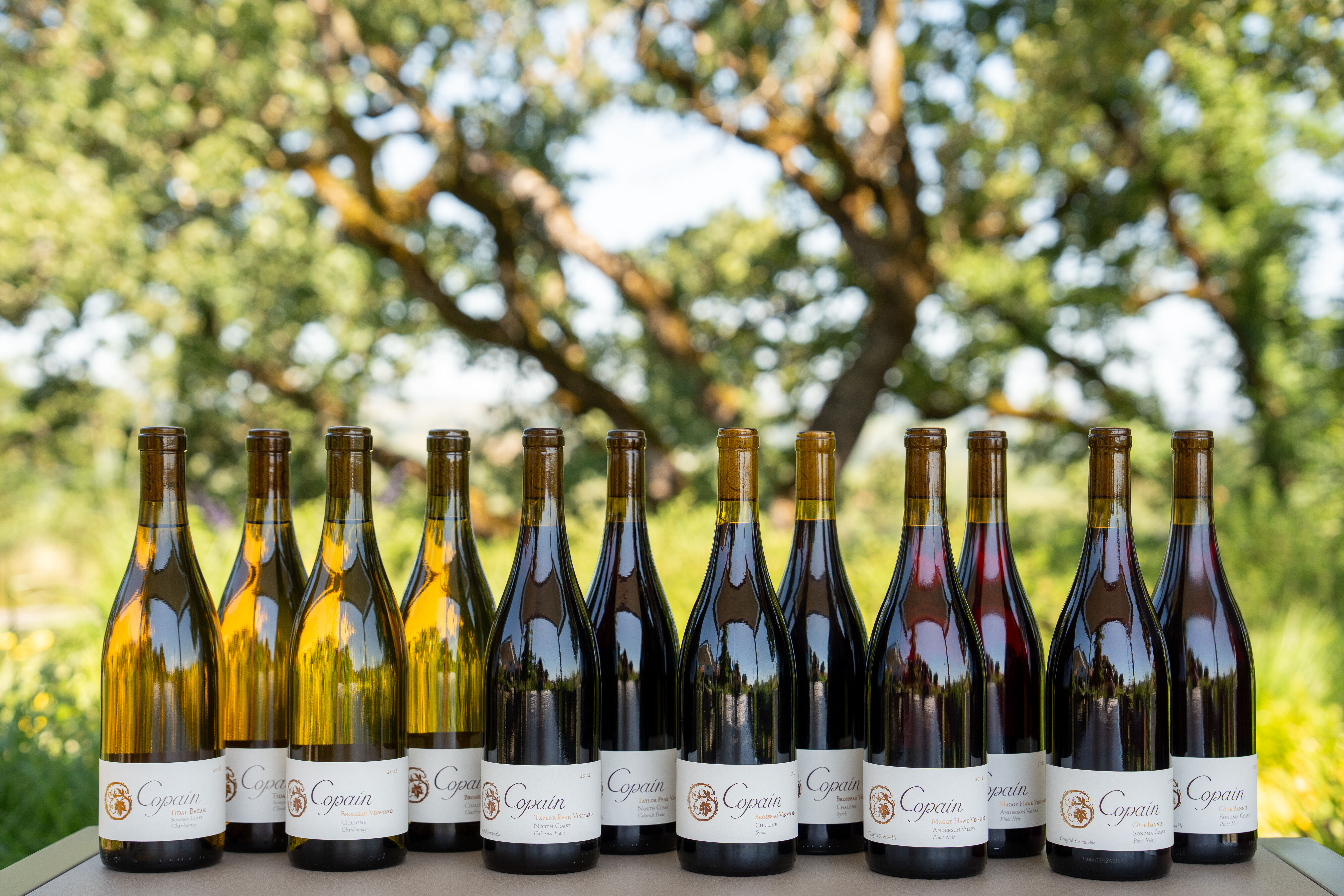 Six bottles of copain wine